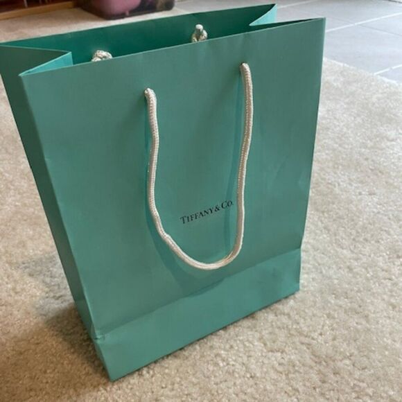 Tiffany & Co. Empty Jewelry Bag - Picture 1 of 7